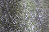 Stonebridge Green fibreglass roof work